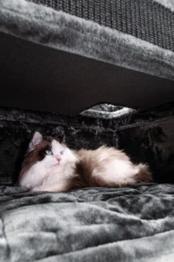 Petrebels Vault 117 Krabton XL - Pepper - 76 X 56 X 117 Cm 22 Petrebels Vault 117 Krabton XL - Pepper - 76 X 56 X 117 Cm -Huisdierbenodigdheden 800x1200 71