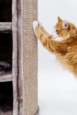 Petrebels Superdome 120 Krabton Voor Katten - Cappuccino - 49 X 49 X 120 Cm 21 Petrebels Superdome 120 Krabton Voor Katten - Cappuccino - 49 X 49 X 120 Cm -Huisdierbenodigdheden 800x1200 80