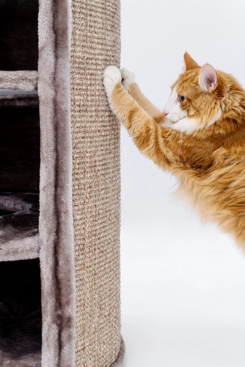 Petrebels Superdome 120 Krabton Voor Katten - Cappuccino - 49 X 49 X 120 Cm 10 Petrebels Superdome 120 Krabton Voor Katten - Cappuccino - 49 X 49 X 120 Cm - Afbeelding 10