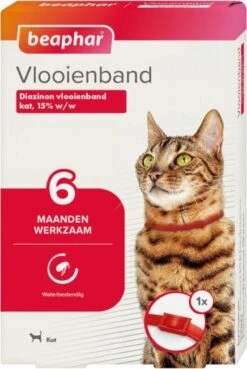 Beaphar Vlooienband Kat - Rood - 1 Stuk -Huisdierbenodigdheden 804x1200 5