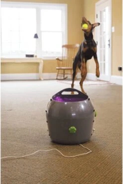 PetSafe Automatische Ballenwerper - Dierenspeelgoed -Huisdierbenodigdheden 806x1200