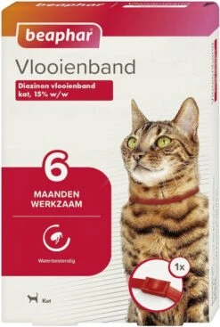 Beaphar Vlooienband Kat - Rood - 1 Stuk -Huisdierbenodigdheden 807x1200 10