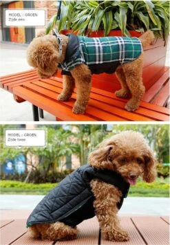 Stijlvol Omkeerbaar Winter Hondenjasje In Engelse Stijl - BEIGE - EXTRA LARGE (XL) -Huisdierbenodigdheden 838x1200 5