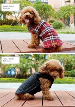 Stijlvol Omkeerbaar Winter Hondenjasje In Engelse Stijl - BEIGE - EXTRA LARGE (XL) -Huisdierbenodigdheden 840x1200 10
