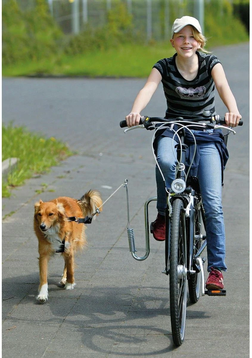 Flamingo - Doggy Sprinter Fietshouder - Zilver - 36 X 42 X 3.5 Cm 2 Flamingo - Doggy Sprinter Fietshouder - Zilver - 36 X 42 X 3.5 Cm - Afbeelding 2