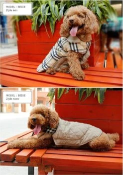 Stijlvol Omkeerbaar Winter Hondenjasje In Engelse Stijl - BEIGE - EXTRA LARGE (XL) -Huisdierbenodigdheden 846x1200 7