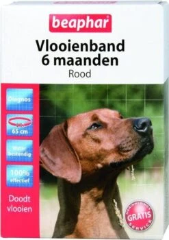 Beaphar Vlooienband Hond - Zwart - 1 Stuk -Huisdierbenodigdheden 847x1200 6