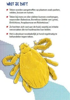 Prac-tic Middel Grote Hond 11 Tot 22 Kg - 1 St à 3 Pipetten -Huisdierbenodigdheden 848x1200 3