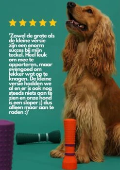 Furmey Zoomies - Honden Speelgoed - Hondenspeeltjes - Kauwbotten Hond - S Groen - 17 Cm 11 Furmey Zoomies - Honden Speelgoed - Hondenspeeltjes - Kauwbotten Hond - S Groen - 17 Cm -Huisdierbenodigdheden 848x1200 7