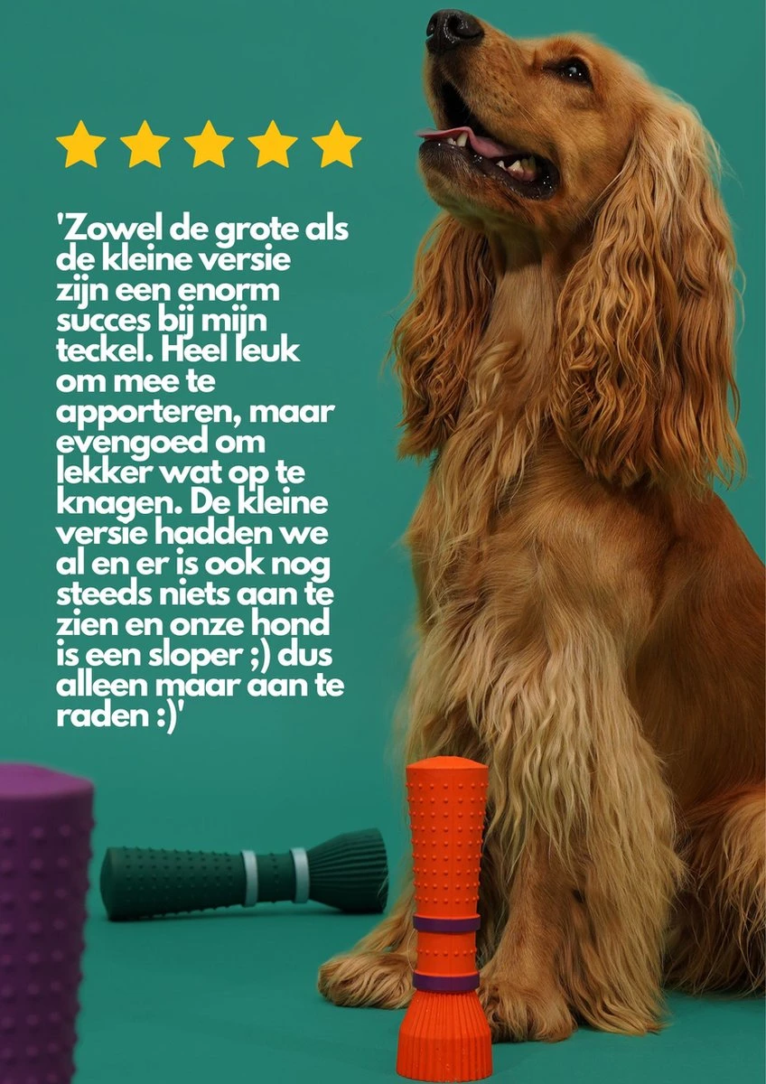 Furmey Zoomies - Honden Speelgoed - Hondenspeeltjes - Kauwbotten Hond - S Groen - 17 Cm 4 Furmey Zoomies - Honden Speelgoed - Hondenspeeltjes - Kauwbotten Hond - S Groen - 17 Cm - Afbeelding 4