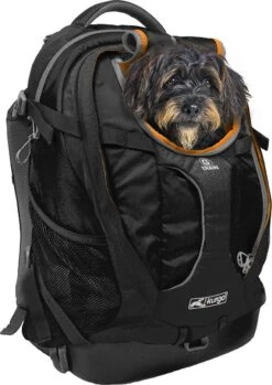 Hondenrugzak Voor Kleine Honden Met Diverse Opbergvakken - Voor Honden Tot 11 Kg - Kurgo G-train K9 - 33x53x25cm - Black
