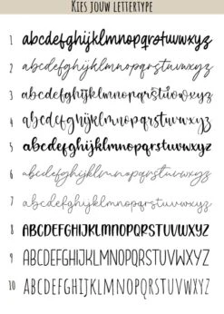 Dierenpenning Rond | Zilver | Roestvrij Staal RVS | Diameter 3 Cm | Inclusief Naam En Telefoonnummer Graveren | Gegraveerde Penning Hond | Hondenpenning -Huisdierbenodigdheden 857x1200 2