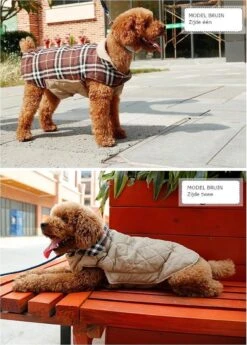 Stijlvol Omkeerbaar Winter Hondenjasje In Engelse Stijl - BEIGE - EXTRA LARGE (XL) -Huisdierbenodigdheden 858x1200 2