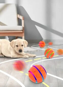 Good Experience Interactieve Hondenbal 3.0 – Honden Speelgoed Intelligentie – Puppy Speelgoed – Hondenspeeltjes – De Enige Die Werkt Met Afstandsbediening – De Veilige Bal Voor Jouw Hond – One Size – Oranje 13 Good Experience Interactieve Hondenbal 3.0 – Honden Speelgoed Intelligentie – Puppy Speelgoed – Hondenspeeltjes – De Enige Die Werkt Met Afstandsbediening – De Veilige Bal Voor Jouw Hond – One Size – Oranje -Huisdierbenodigdheden 863x1200 4