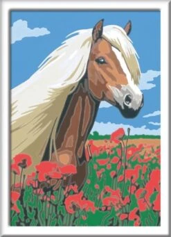 Ravensburger Schilder Op Nummer 3in1 Set Dieren -Huisdierbenodigdheden 868x1200 9