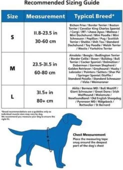 Company Of Animals Halti Harnass Hondentuigje - Anti Trektuigje - M - 60 Tot 80 Cm – Zwart -Huisdierbenodigdheden 869x1200 3