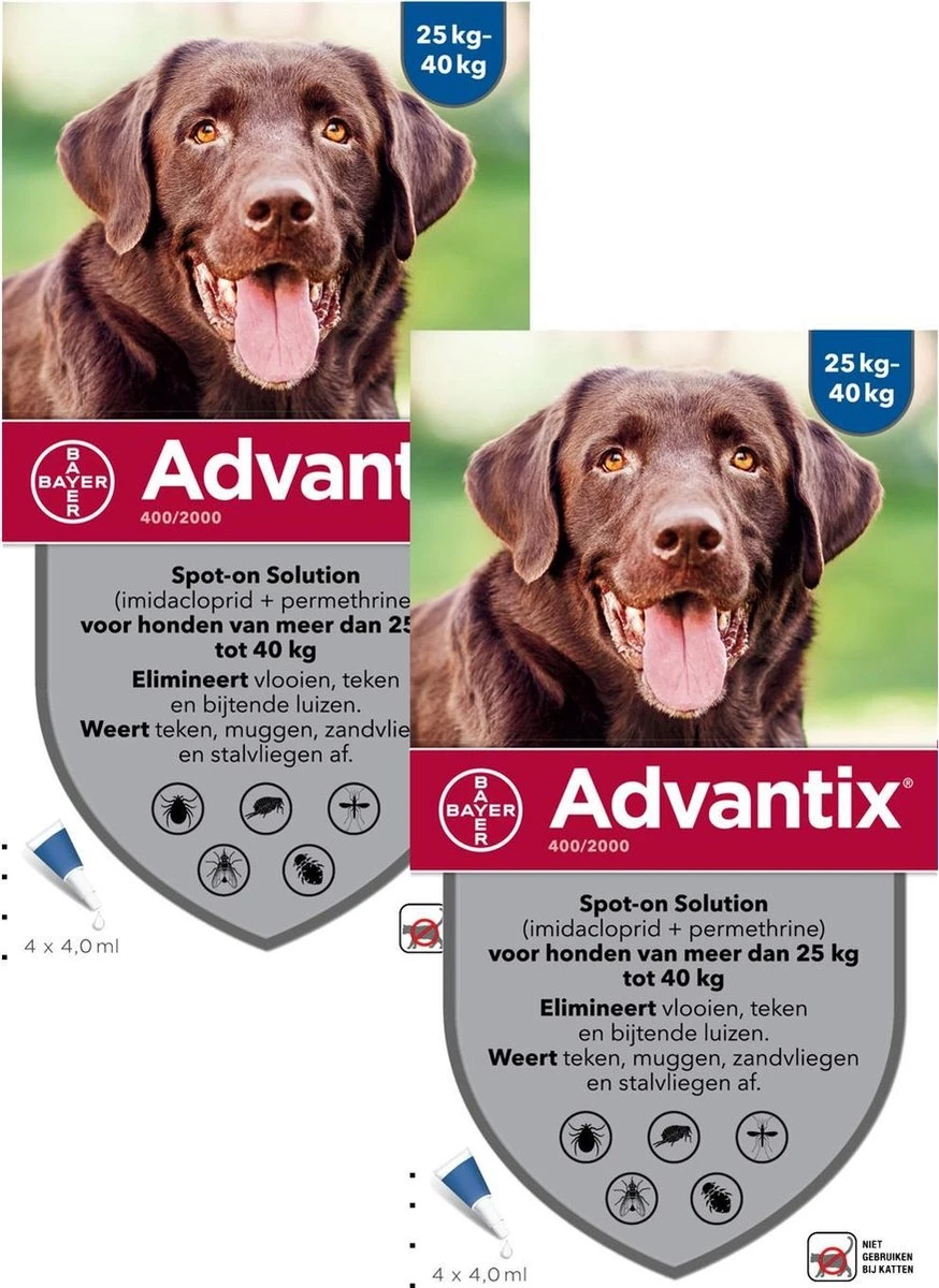 Bayer Advantix Vlooien & Teken Pipetten - Hond 25 Tot 40kg - 2 X 4 Stuks 1 Bayer Advantix Vlooien & Teken Pipetten - Hond 25 Tot 40kg - 2 X 4 Stuks