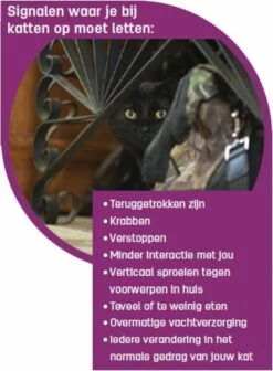 Feliway Classic - Startset - 1 Verdamper + 1 Vulling 48ml - Anti-stress Voor Kat -Huisdierbenodigdheden 881x1200 12