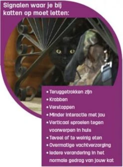 Feliway Classic - Navulling - 48 Ml - Anti-stress Kat -Huisdierbenodigdheden 881x1200 13