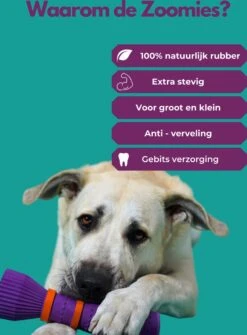 Furmey Zoomies - Honden Speelgoed - Hondenspeeltjes - Kauwbotten Hond - S Groen - 17 Cm 15 Furmey Zoomies - Honden Speelgoed - Hondenspeeltjes - Kauwbotten Hond - S Groen - 17 Cm -Huisdierbenodigdheden 886x1200 8
