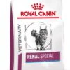 Royal Canin Renal Special - Kattenvoer - 4 Kg