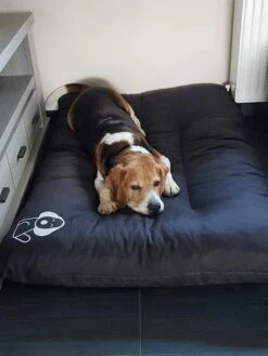 Hondenkussen XL - Donkergrijs - 60 X 90 X 12 13 Hondenkussen XL - Donkergrijs - 60 X 90 X 12 -Huisdierbenodigdheden 900x1200 40