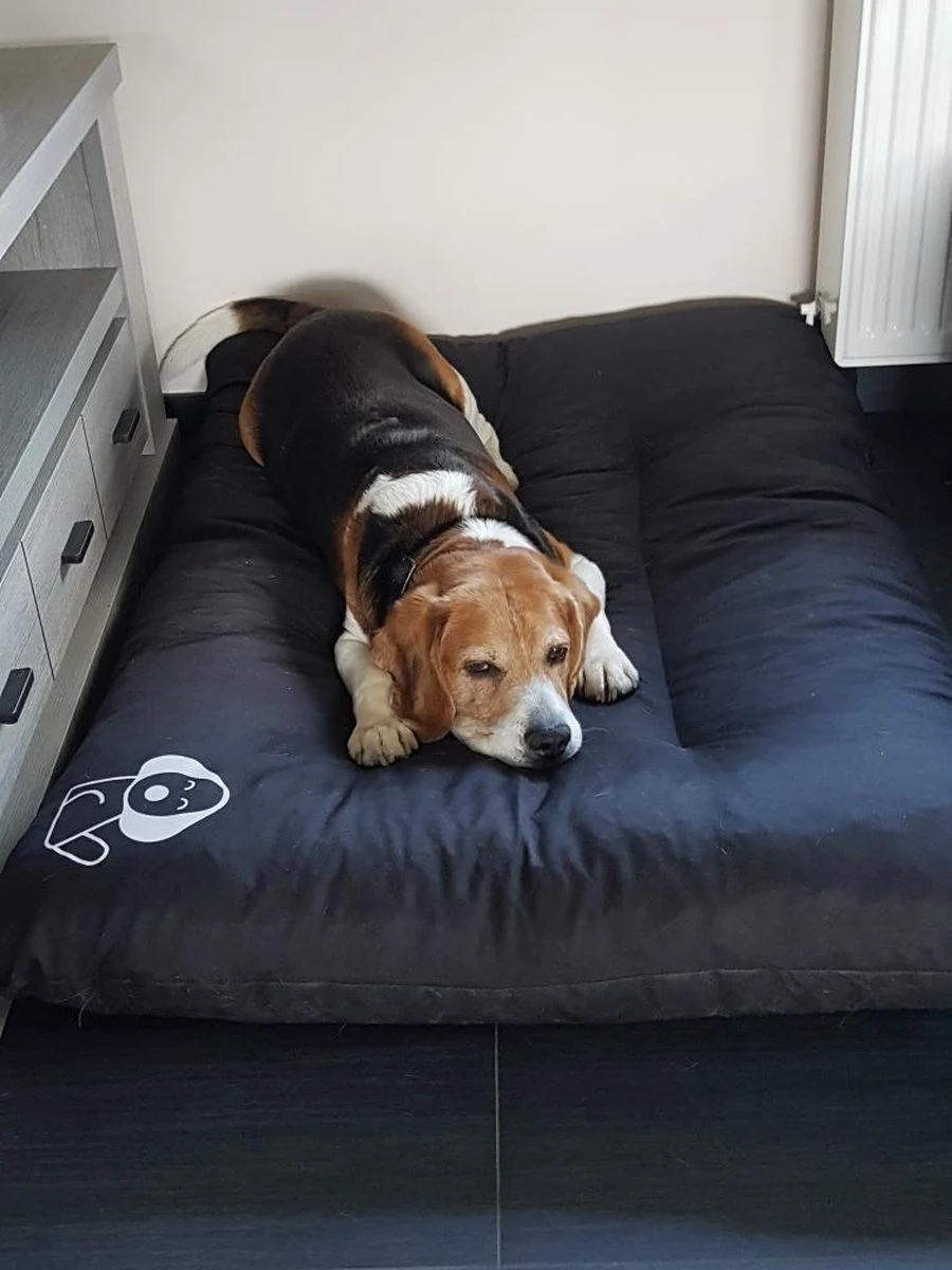 Hondenkussen XL - Donkergrijs - 60 X 90 X 12 6 Hondenkussen XL - Donkergrijs - 60 X 90 X 12 - Afbeelding 6