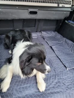 Luxe Hondendeken 200 X 150 Cm Auto Achterbank Kofferbak Vuilafstotend & Beschermend 6 Luxe Hondendeken 200 X 150 Cm Auto Achterbank Kofferbak Vuilafstotend & Beschermend -Huisdierbenodigdheden 900x1200 47