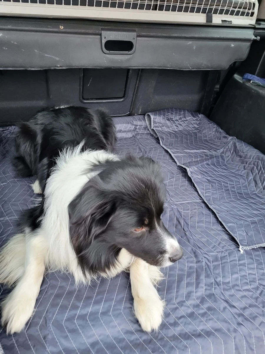 Luxe Hondendeken 200 X 150 Cm Auto Achterbank Kofferbak Vuilafstotend & Beschermend 3 Luxe Hondendeken 200 X 150 Cm Auto Achterbank Kofferbak Vuilafstotend & Beschermend - Afbeelding 3