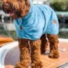 Dogs&Co Honden Badjas Blauw Maat XL Incl. Waszakje - Hondenbadjas