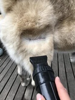 Waterblazer Hond - Hondendroger -Huisdierbenodigdheden 900x1200 6