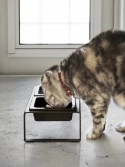 Yamazaki Eetbak - Voederbak Kat - Tweeledig - Zwart -Huisdierbenodigdheden 901x1200 10