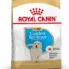Royal Canin Golden Retriever Junior 12 KG