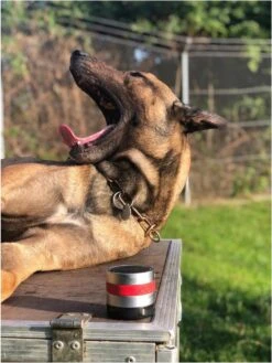 RelaxoPet Pro Dog – Dieren Antistressmiddel – Anti-stress Hond – Ontspanningsmuziek – Ontspanning Voor Hond -Huisdierbenodigdheden 902x1200 4