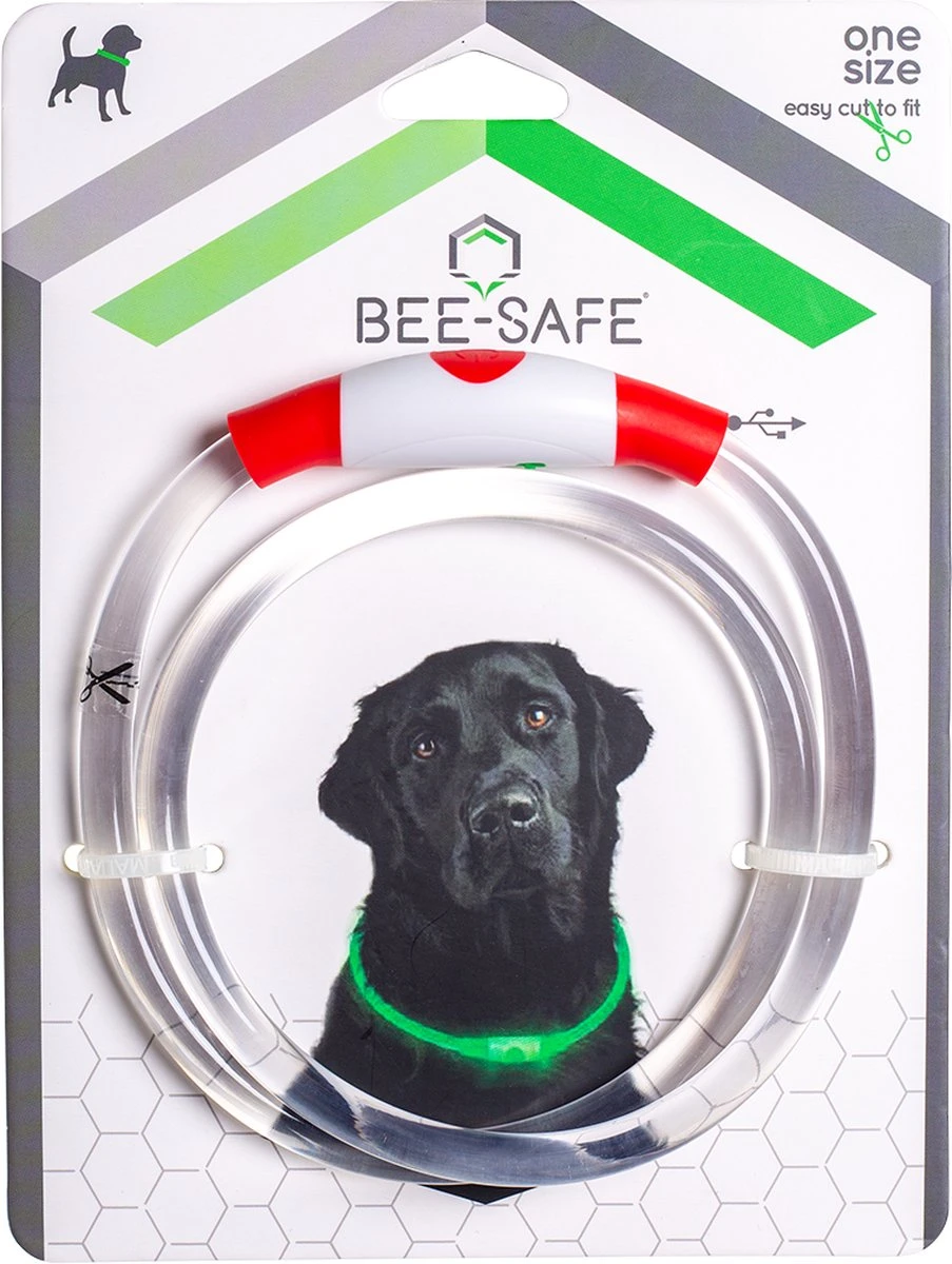 Led Dog Band USB | BEE SAFE -BLUE- | Dier Verlichting | Hondenband LED 5 Led Dog Band USB | BEE SAFE -BLUE- | Dier Verlichting | Hondenband LED - Afbeelding 5