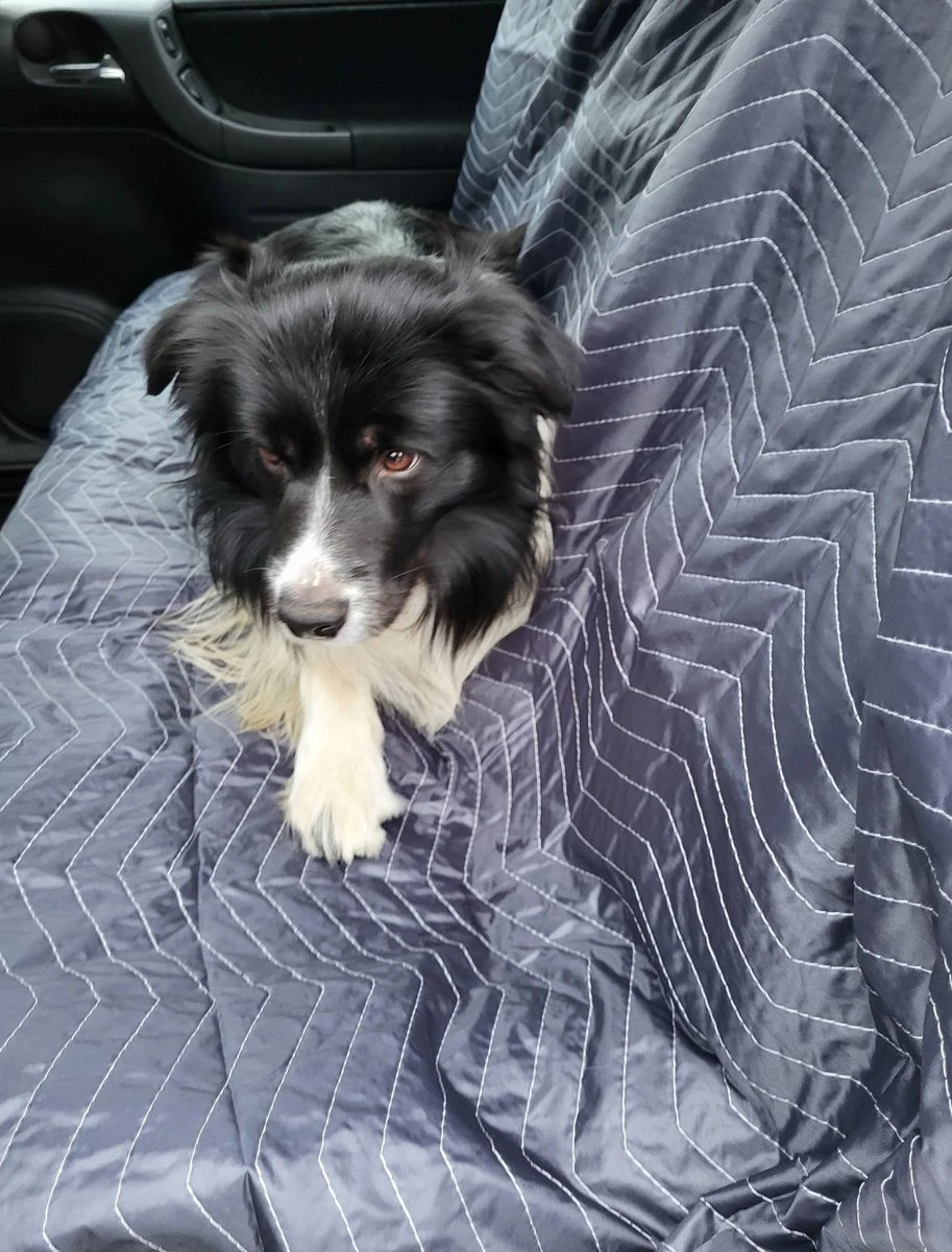 Luxe Hondendeken 200 X 150 Cm Auto Achterbank Kofferbak Vuilafstotend & Beschermend 1 Luxe Hondendeken 200 X 150 Cm Auto Achterbank Kofferbak Vuilafstotend & Beschermend