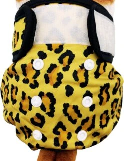 Sharon B Loopsheidbroekje Hond - Luipaard - Maat S - Wasbaar -Huisdierbenodigdheden 920x1200 5