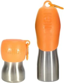 KONG H2O 740 Ml Rvs Waterfles Zwart -Huisdierbenodigdheden 932x1200