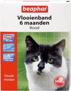 Beaphar Vlooienband Kat - Rood - 1 Stuk -Huisdierbenodigdheden 934x1200 4