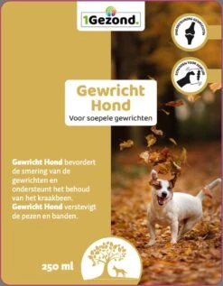 MSM En Glucosamine Gewricht Soepel Voor Honden 250 Ml -Huisdierbenodigdheden 935x1200 5