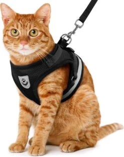 Merkloos Kattentuigje Met Looplijn | Zwart Kattenharnas | Easy Step In | Kattenriem | Kattenlijn | Kattentuig | Maat S