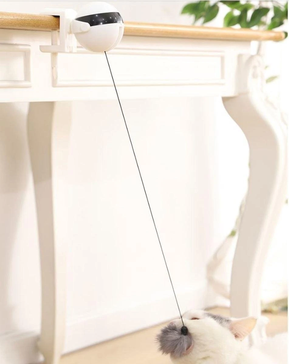 Merkloos Kattenspeelgoed - Katten Speelgoed - Katten Speeltje - Katten Bal - Katten - Kattenhengel - Kitten Speelgoed - Kattenspeeltjes - Elektrische - Muis - Automatische Hengel - Bal - Poes - Katten - Prooi - Kat - Poesjes - Interactief Kattenspeelgoed 5 Merkloos Kattenspeelgoed - Katten Speelgoed - Katten Speeltje - Katten Bal - Katten - Kattenhengel - Kitten Speelgoed - Kattenspeeltjes - Elektrische - Muis - Automatische Hengel - Bal - Poes - Katten - Prooi - Kat - Poesjes - Interactief Kattenspeelgoed - Afbeelding 5