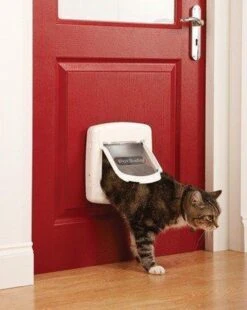 Petsafe Kattenluik 400 - Wit 30 Petsafe Kattenluik 400 - Wit -Huisdierbenodigdheden 955x1200 1