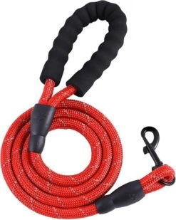 Hondenriem 300cm 3 Meter Extra Sterk Rood Hond Riem