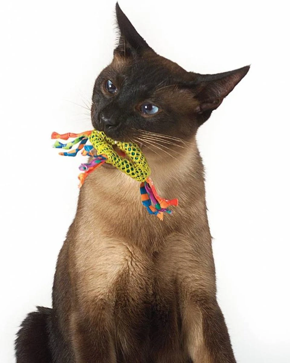 Petstages Dental Health Chew Kattenspeelgoed - Catnip 3 Petstages Dental Health Chew Kattenspeelgoed - Catnip - Afbeelding 3