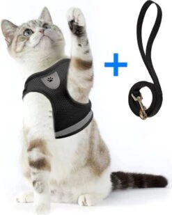 Ease Store Kattentuigje – Maat M – Met Looplijn – Kittentuigje – Dierentuigje – Hondentuigje – Reflecterend – Zwart 8 Ease Store Kattentuigje – Maat M – Met Looplijn – Kittentuigje – Dierentuigje – Hondentuigje – Reflecterend – Zwart -Huisdierbenodigdheden 960x1200 32