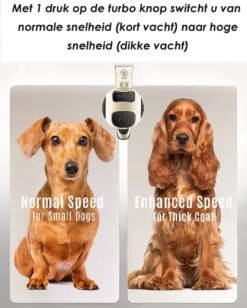 Joyage Professionele Hondentondeuse Voor Dikke Vacht – Honden Tondeuse & Hondentrimmer Tondeuse – Stille Tondeuse Katten & Honden Trimset Lang Haar – Trimmer Hond - Hondentondeuse Draadloos - Tondeuse Voor Honden - Tondeuse Hond Dikke Vacht -Huisdierbenodigdheden 962x1200 3