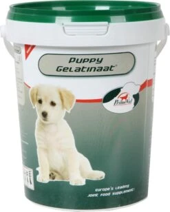Primeval Artrose Gelatinaat Puppy - 350 Gr