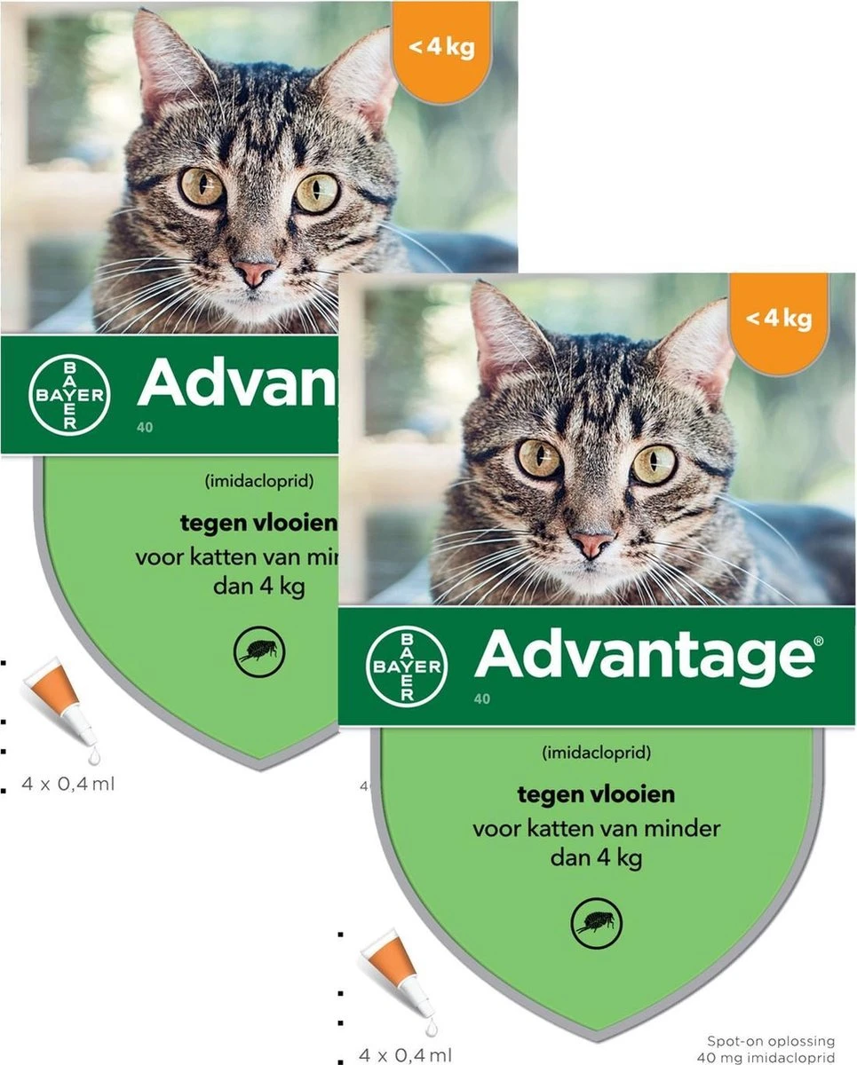Bayer Advantage 40 Kat 4 Pip - Anti Vlooienmiddel - 2 X 0.4 Ml - 0 - 4 Kg 1 Bayer Advantage 40 Kat 4 Pip - Anti Vlooienmiddel - 2 X 0.4 Ml - 0 - 4 Kg