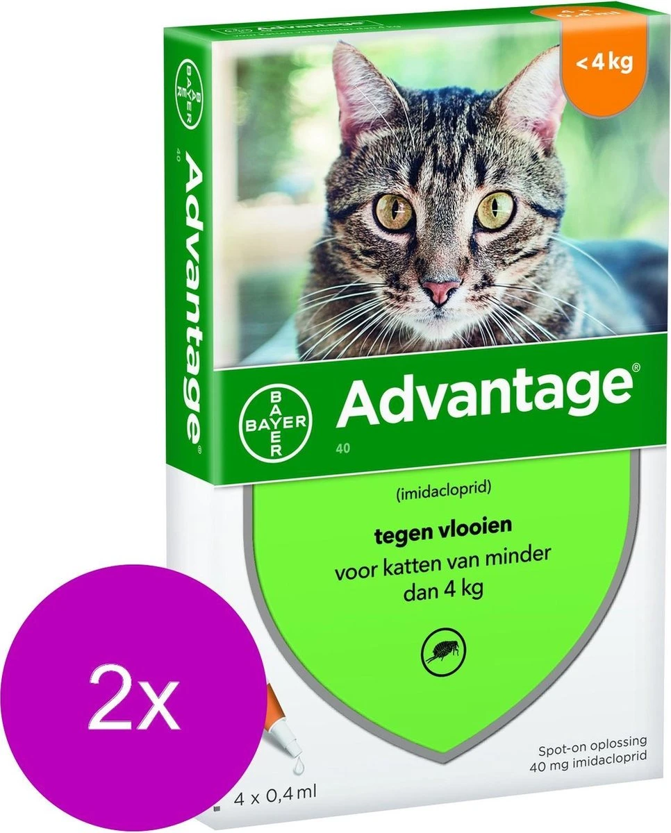 Bayer Advantage 40 Kat 4 Pip - Anti Vlooienmiddel - 2 X 0.4 Ml - 0 - 4 Kg 2 Bayer Advantage 40 Kat 4 Pip - Anti Vlooienmiddel - 2 X 0.4 Ml - 0 - 4 Kg - Afbeelding 2